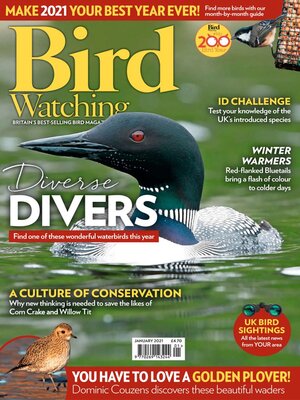 cover image of Bird Watching 